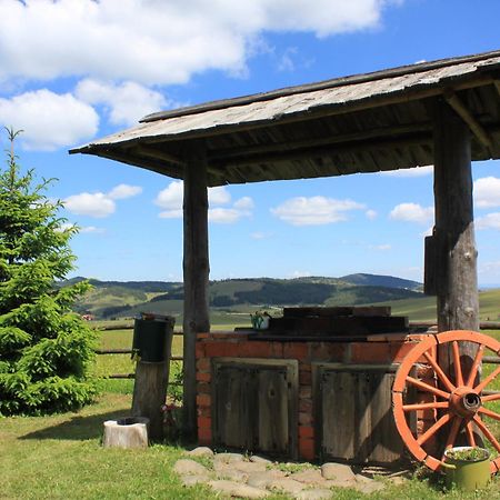 Vila Jela Tornik Zlatibor Exteriör bild