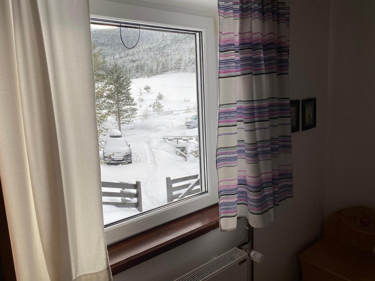 Vila Jela Tornik Zlatibor Exteriör bild
