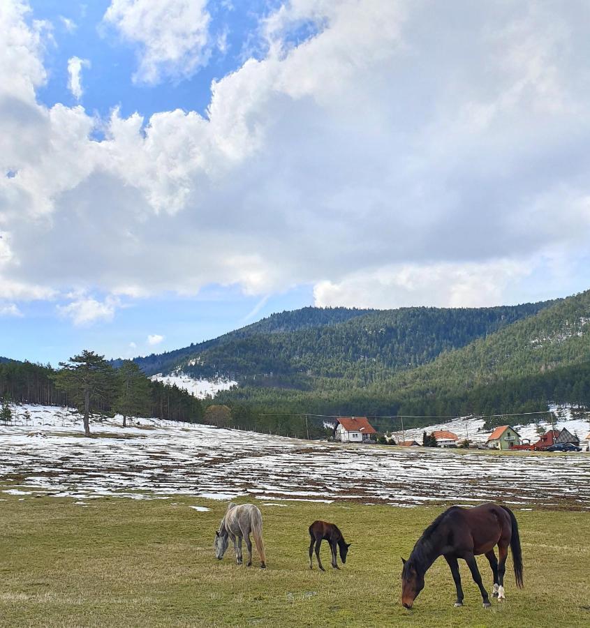 Vila Jela Tornik Zlatibor Exteriör bild