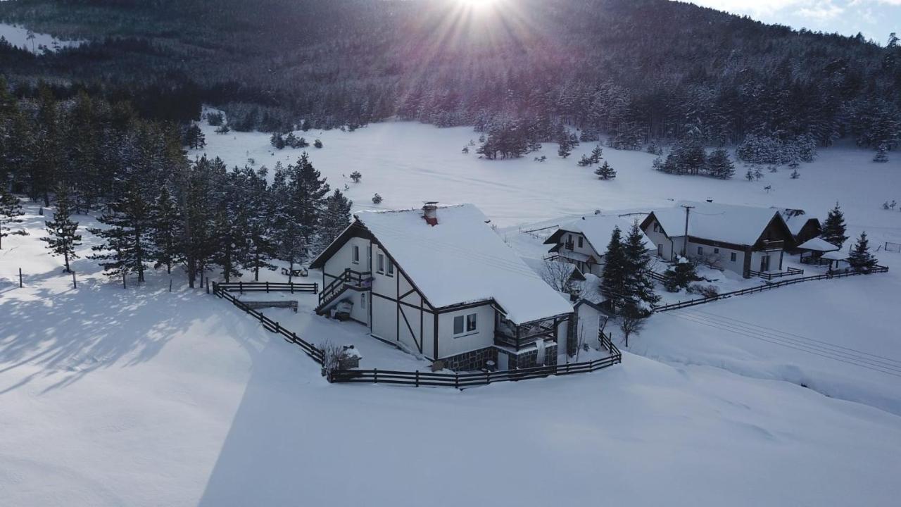 Vila Jela Tornik Zlatibor Exteriör bild