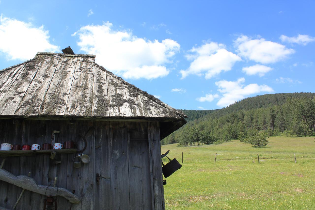 Vila Jela Tornik Zlatibor Exteriör bild