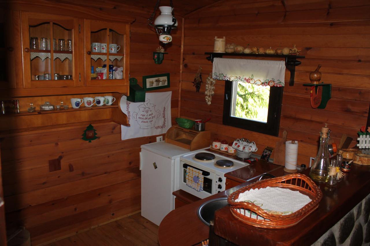 Vila Jela Tornik Zlatibor Exteriör bild
