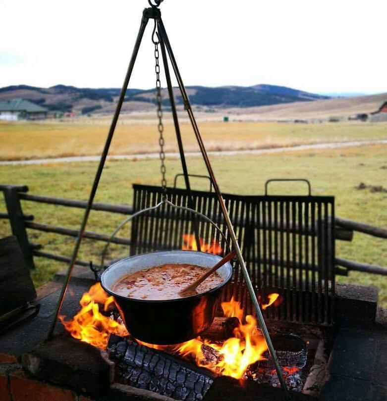 Vila Jela Tornik Zlatibor Exteriör bild