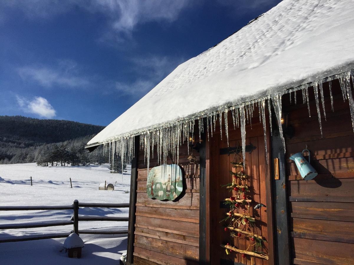 Vila Jela Tornik Zlatibor Exteriör bild