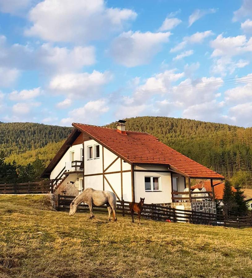 Vila Jela Tornik Zlatibor Exteriör bild
